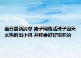 當(dāng)日最新消息 男子網(wǎng)購(gòu)活珠子因天太熱孵出小雞 并稱會(huì)好好飼養(yǎng)的
