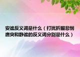 安謐反義詞是什么（打擾折服悲憫唐突和靜謐的反義詞分別是什么）