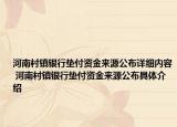 河南村鎮(zhèn)銀行墊付資金來(lái)源公布詳細(xì)內(nèi)容 河南村鎮(zhèn)銀行墊付資金來(lái)源公布具體介紹