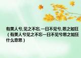 有美人兮,見之不忘,一日不見兮,思之如狂（有美人兮見之不忘一日不見兮思之如狂什么意思）