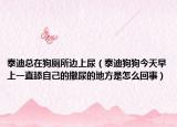泰迪總在狗廁所邊上尿（泰迪狗狗今天早上一直舔自己的撒尿的地方是怎么回事）