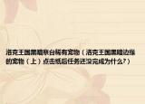 洛克王國黑暗祭臺稀有寵物（洛克王國黑暗邊緣的寵物（上）點擊紙后任務(wù)還沒完成為什么?）