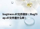 bugtrace.dll文件損壞（BugTrap.dll文件是什么啊）