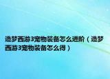 造夢西游3寵物裝備怎么進階（造夢西游3寵物裝備怎么得）