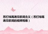 蘇打綠再遇見歌詞含義（蘇打綠再遇見歌詞的視頻觀看）