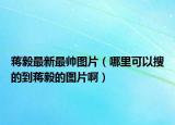 蔣毅最新最帥圖片（哪里可以搜的到蔣毅的圖片?。? /></span></a>
                        <h2><a href=