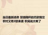 當(dāng)日最新消息 禁燒秸稈的罰款剛交農(nóng)村又有3禁來(lái)襲 農(nóng)民說(shuō)太難了