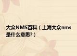 大眾NMS百科（上海大眾nms是什么意思?）