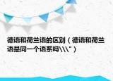 德語和荷蘭語的區(qū)別（德語和荷蘭語是同一個(gè)語系嗎\