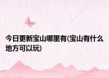 今日更新寶山哪里有(寶山有什么地方可以玩)