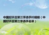 中國好聲音第三季選手葉晴晴（中國好聲音第三季選手名單）