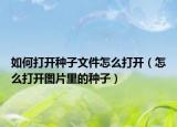 如何打開種子文件怎么打開（怎么打開圖片里的種子）