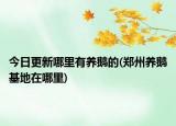 今日更新哪里有養(yǎng)鵝的(鄭州養(yǎng)鵝基地在哪里)