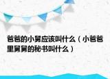 爸爸的小舅應(yīng)該叫什么（小爸爸里舅舅的秘書叫什么）