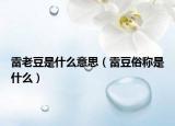 雷老豆是什么意思（雷豆俗稱是什么）