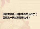 誰能百里挑一楊弘現(xiàn)在怎么樣了（百里挑一天然呆是楊弘嗎）