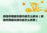 微信停用朋友圈功能怎么解決（微信停用朋友圈功能怎么恢復）