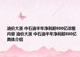 油價大漲 中石油半年凈利超800億詳細(xì)內(nèi)容 油價大漲 中石油半年凈利超800億具體介紹
