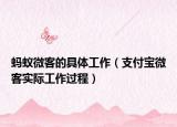 螞蟻微客的具體工作（支付寶微客實(shí)際工作過(guò)程）