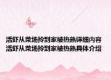 活蝦從菜場拎到家被熱熟詳細內(nèi)容 活蝦從菜場拎到家被熱熟具體介紹