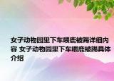女子動物園里下車喂鹿被踢詳細內(nèi)容 女子動物園里下車喂鹿被踢具體介紹