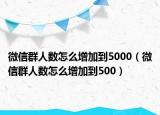 微信群人數(shù)怎么增加到5000（微信群人數(shù)怎么增加到500）