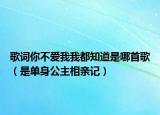 歌詞你不愛我我都知道是哪首歌（是單身公主相親記）