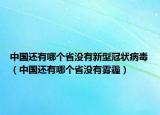 中國還有哪個省沒有新型冠狀病毒（中國還有哪個省沒有霧霾）