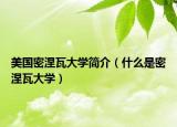 美國(guó)密涅瓦大學(xué)簡(jiǎn)介（什么是密涅瓦大學(xué)）