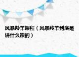 風暴羚羊課程（風暴羚羊到底是講什么課的）