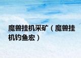魔獸掛機(jī)采礦（魔獸掛機(jī)釣魚宏）