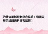 為什么羽絨服老是容易臟（雪國(guó)天驕羽絨服面料很容易臟）