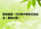 歌詞是愛一萬次夠不夠你已經(jīng)遠走（是啥么歌）