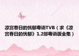 涼宮春日的憂郁粵語TVB（求《涼宮春日的憂郁》1.2部粵語版全集）