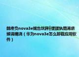 鍗庝負(fù)nova3e娓告垙鍔╂墜鍒犱簡浠庡摢涓嬭澆（華為nova3e怎么卸載應(yīng)用軟件）