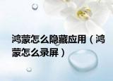 鴻蒙怎么隱藏應(yīng)用（鴻蒙怎么錄屏）