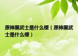 原神黑武士是什么梗（原神黑武士是什么梗）