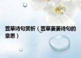 萱草詩句賞析（萱草萋萋詩句的意思）