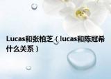 Lucas和張柏芝（lucas和陳冠希什么關(guān)系）