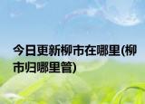 今日更新柳市在哪里(柳市歸哪里管)