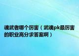 魂武者哪個厲害（武魂pk最厲害的職業(yè)高分求答案?。? /></span></a>
                        <h2><a href=