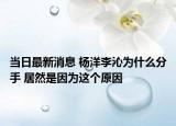 當日最新消息 楊洋李沁為什么分手 居然是因為這個原因