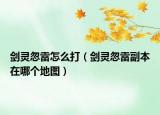 劍靈忽雷怎么打（劍靈忽雷副本在哪個(gè)地圖）