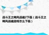 戰(zhàn)斗王之颶風戰(zhàn)魂2下載（戰(zhàn)斗王之颶風戰(zhàn)魂游戲怎么下載）