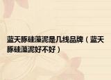 藍天豚硅藻泥是幾線品牌（藍天豚硅藻泥好不好）