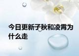 今日更新子秋和凌霄為什么走