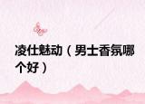 凌仕魅動（男士香氛哪個(gè)好）