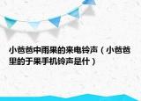 小爸爸中雨果的來電鈴聲（小爸爸里的于果手機(jī)鈴聲是什）