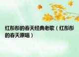 紅彤彤的春天經(jīng)典老歌（紅彤彤的春天原唱）
