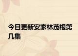 今日更新安家林茂根第幾集